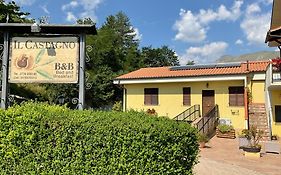Il Castagno